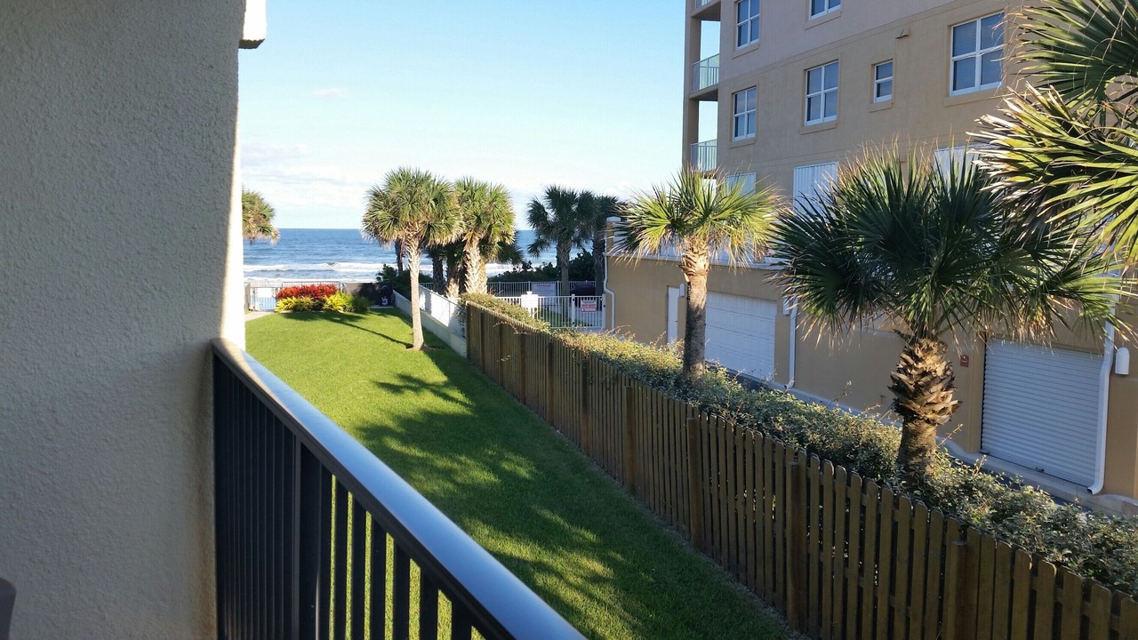 Photo of Others in New Smyrna Beach