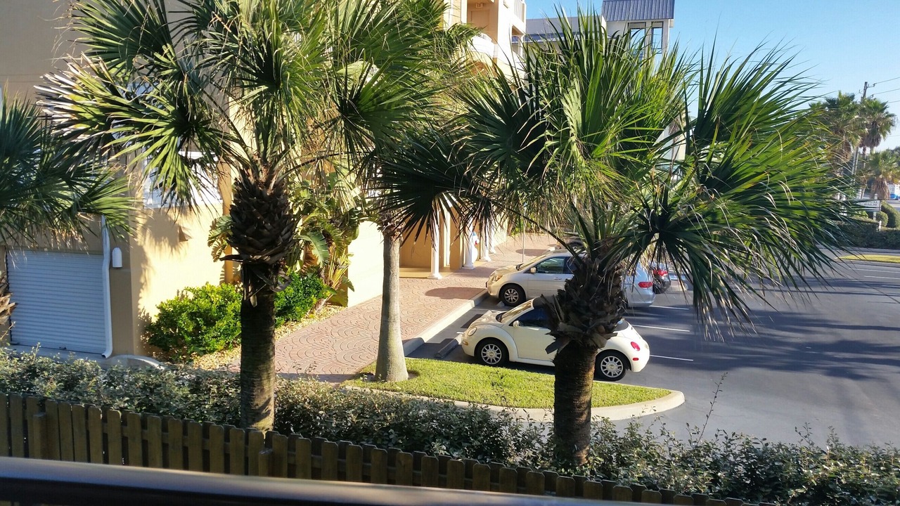 Photo of Others in New Smyrna Beach