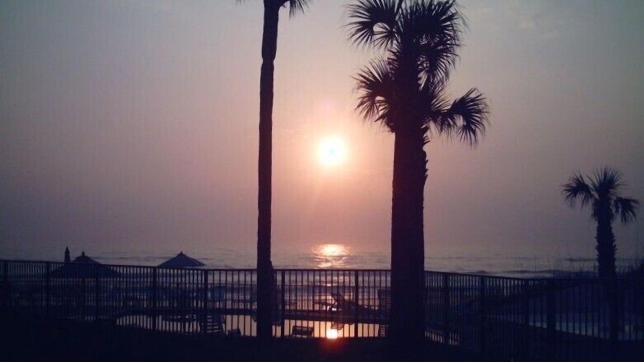 Photo of Others in New Smyrna Beach