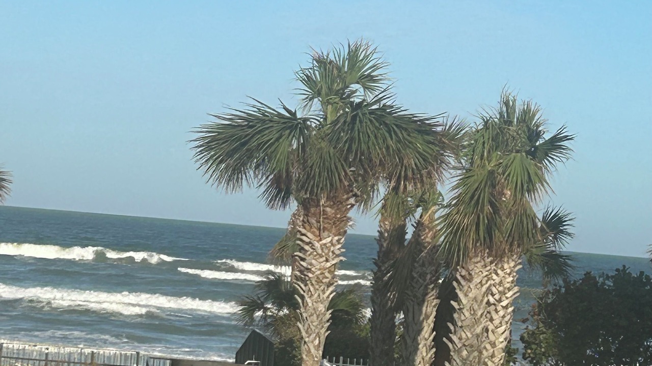 Photo of Others in New Smyrna Beach