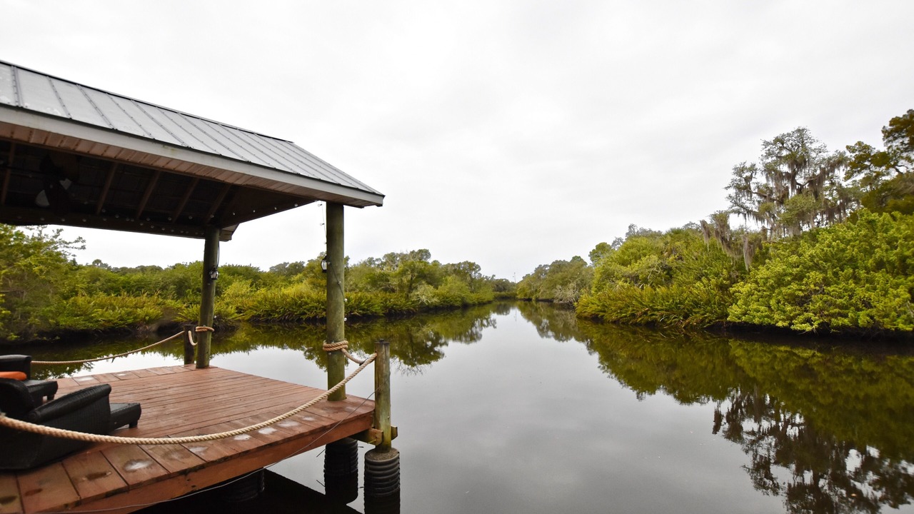 Photo of Others in Braden River