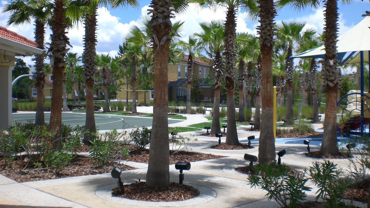 Photo of Others in Kissimmee