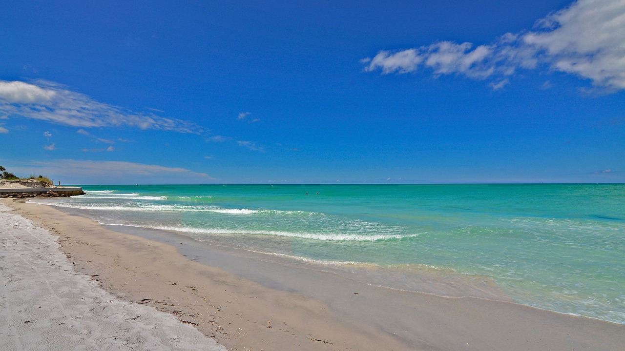 Photo of Others in Longboat Key