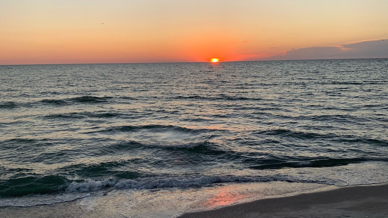 Photo of Others in Longboat Key