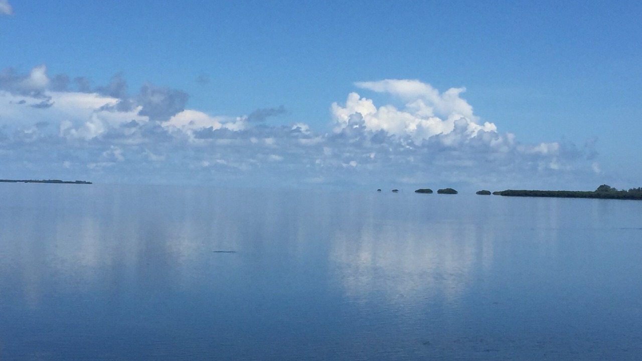 Photo of Others in Clearwater