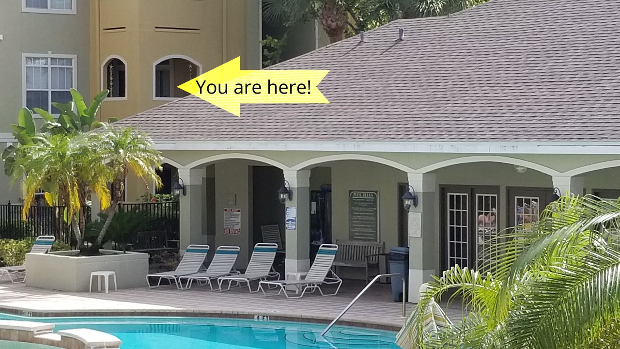 Photo of Outdoor in Clearwater