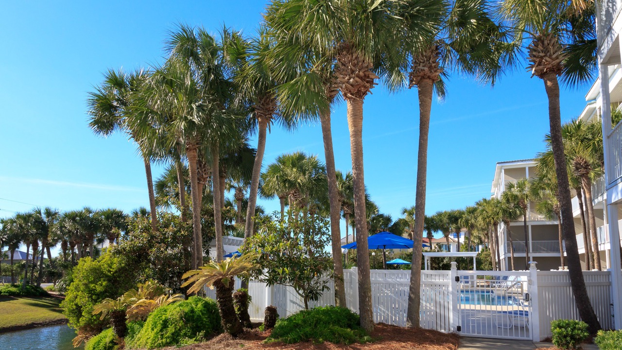 Photo of Outdoor in Gulf Place