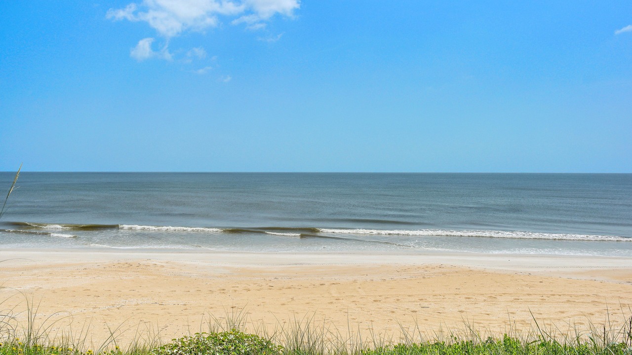 Photo of Others in Flagler Beach