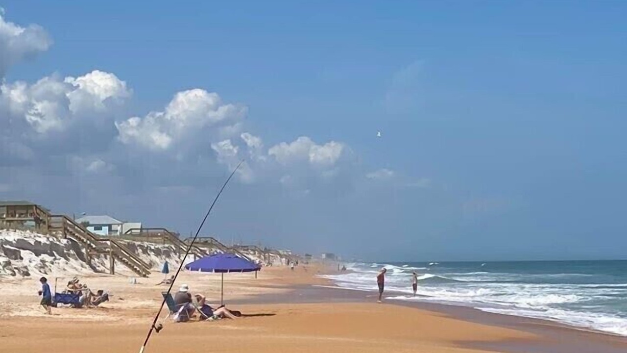 Photo of Others in Flagler Beach