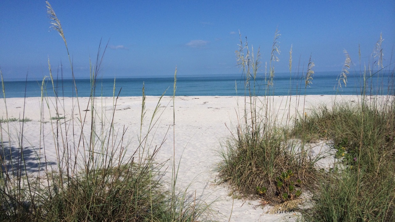 Photo of Others in Boca Grande