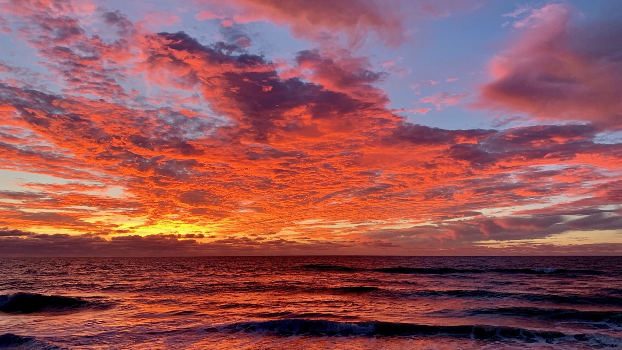 Photo of Others in Boca Grande