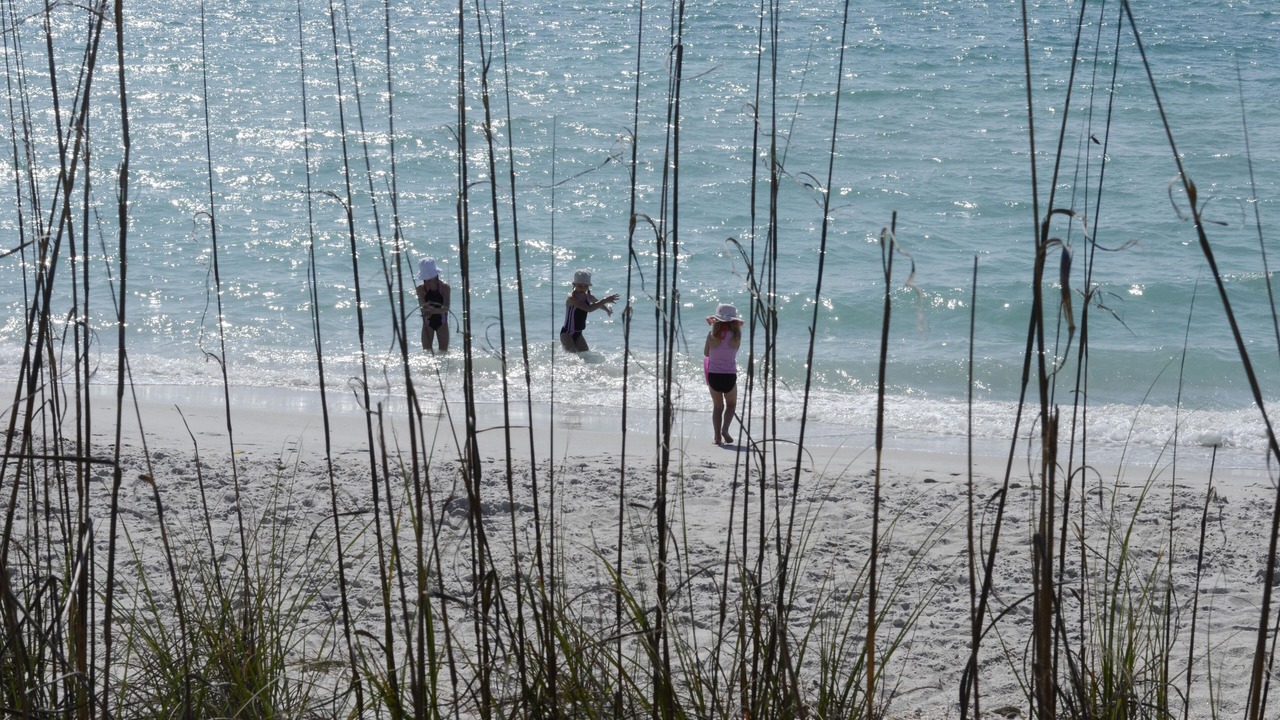 Photo of Others in Boca Grande