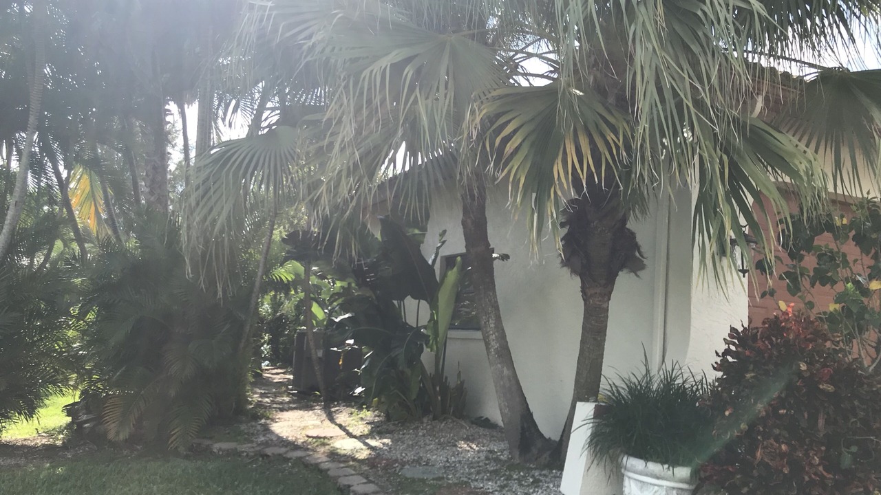 Photo of Outdoor in Pelican