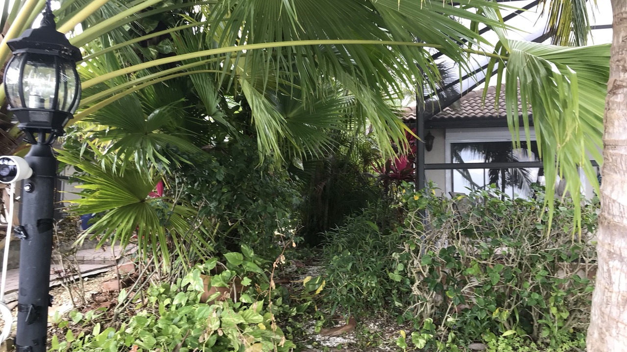 Photo of Outdoor in Pelican