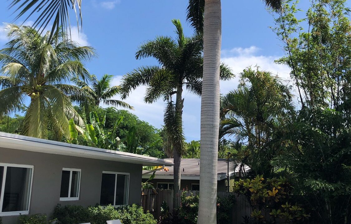 Photo of Outdoor in Wilton Manors