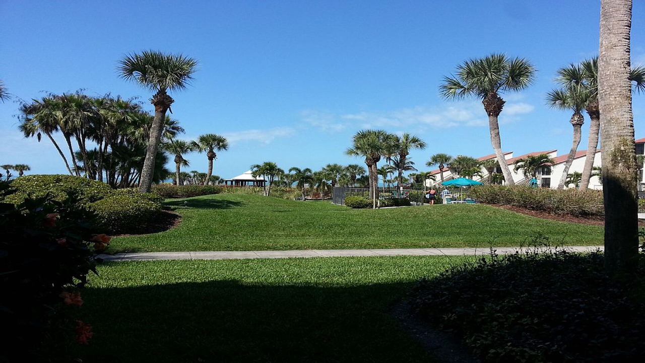 Photo of Outdoor in Siesta Key