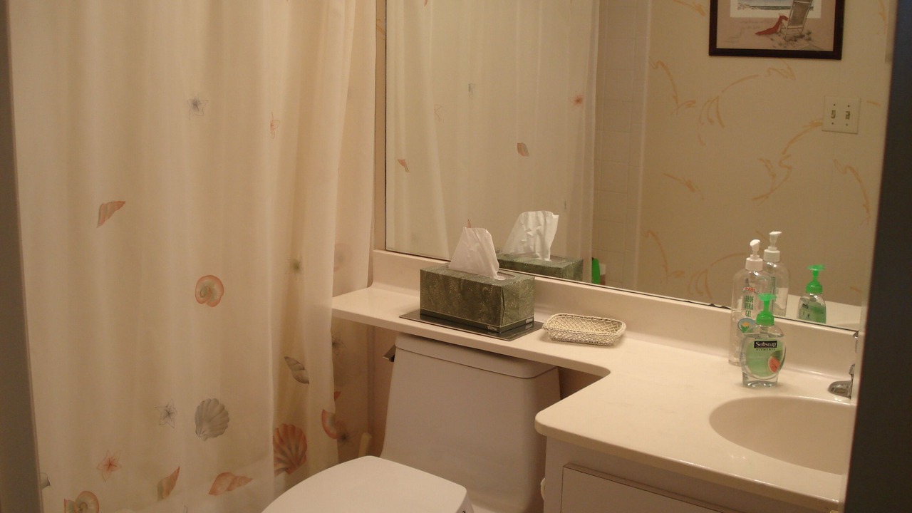 Photo of Bathroom in Siesta Key
