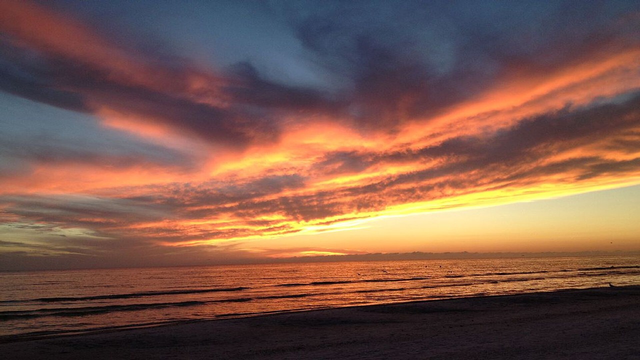 Photo of Others in Siesta Key