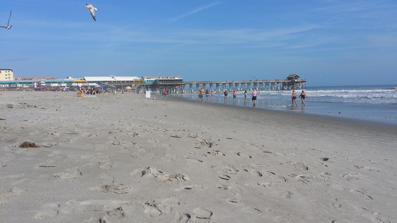 Photo of Others in Avon By The Sea