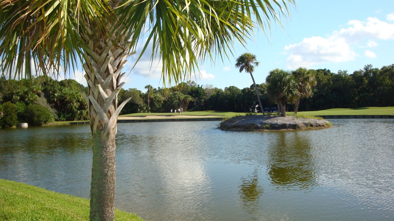 Photo of Others in Plantation