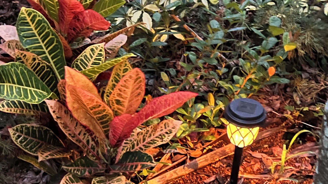 Photo of Outdoor in Historic Downtown Kissimmee