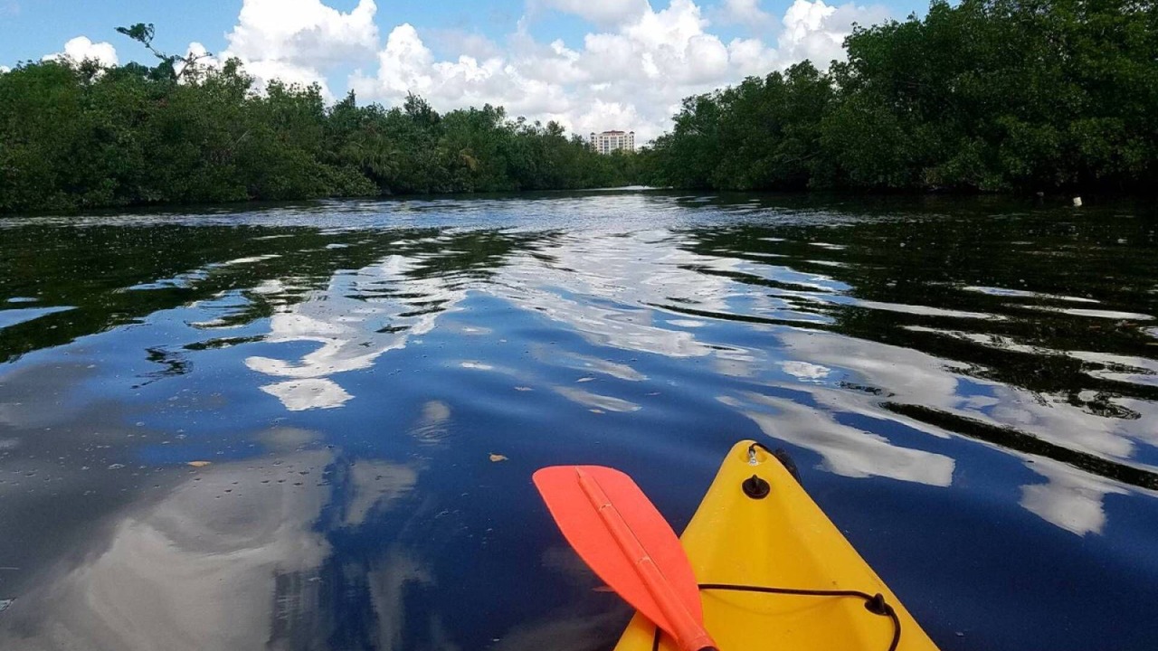 Photo of Others in Bonita Springs