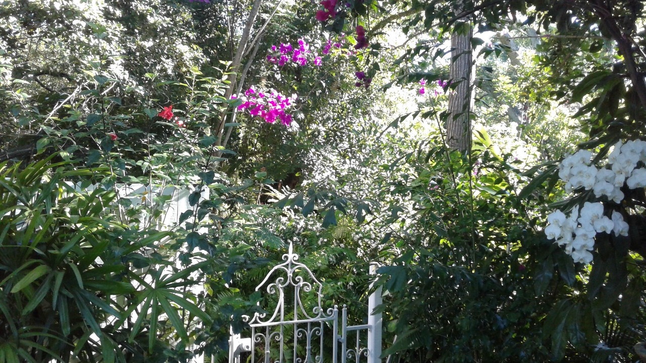 Photo of Outdoor in Central Sarasota