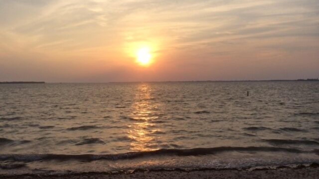 Photo of Others in Sanibel