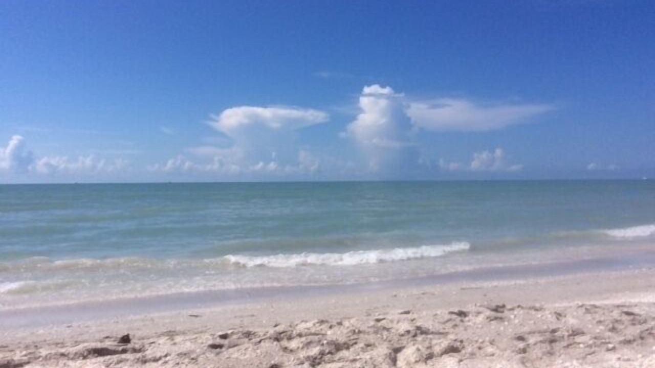 Photo of Others in Sanibel