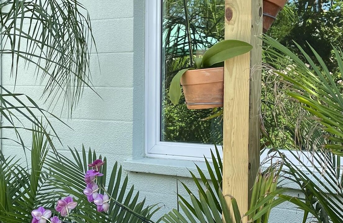 Photo of Outdoor in Sanibel