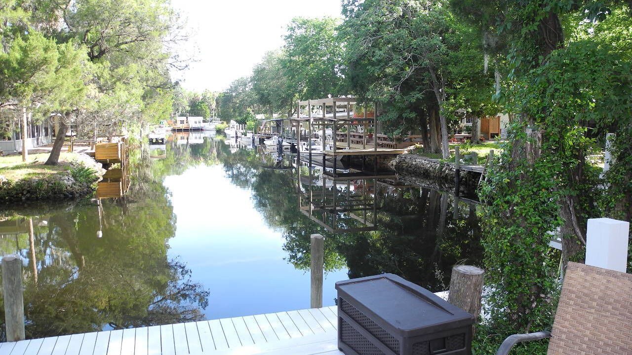 Photo of Others in Homosassa