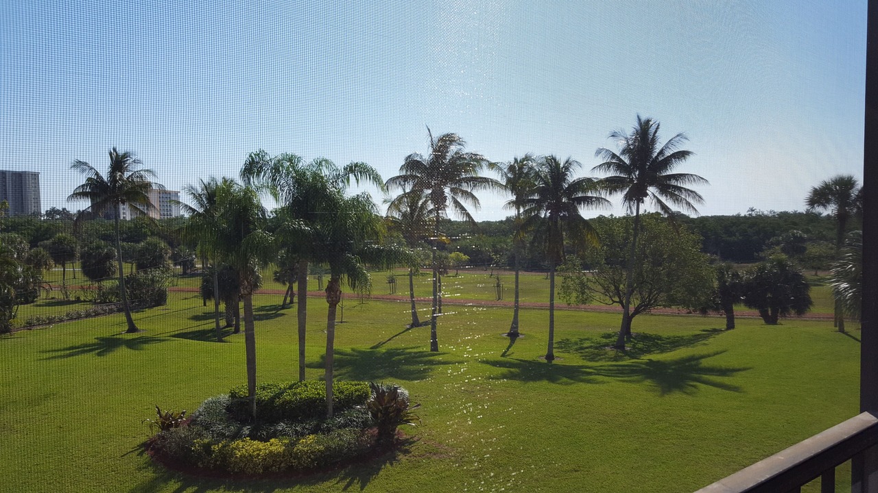 Photo of Others in Jupiter