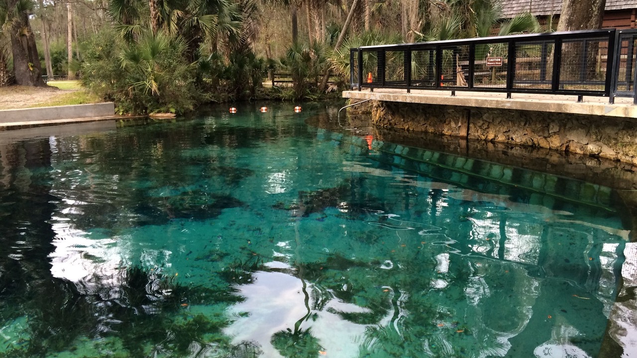 Photo of Others in Salt Springs