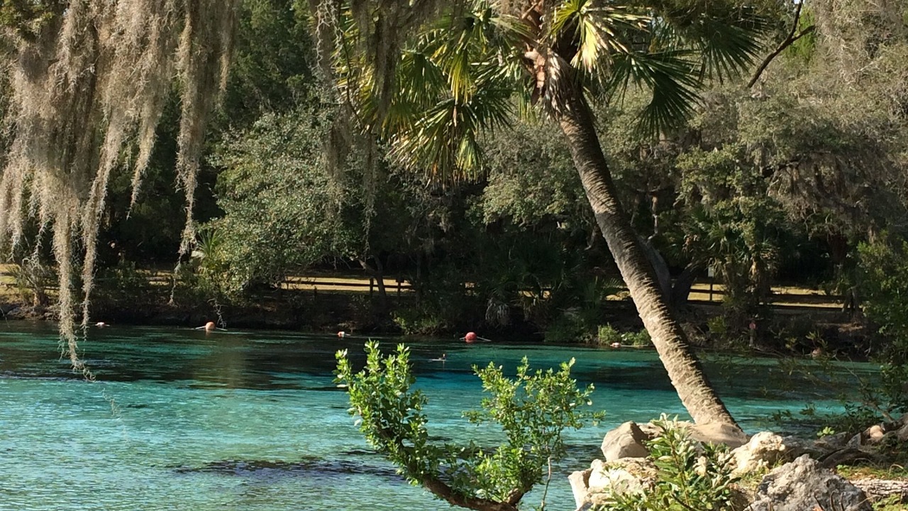 Photo of Others in Salt Springs