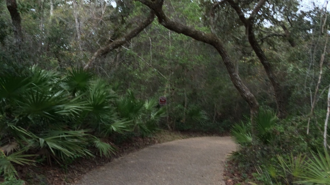 Photo of Others in Salt Springs