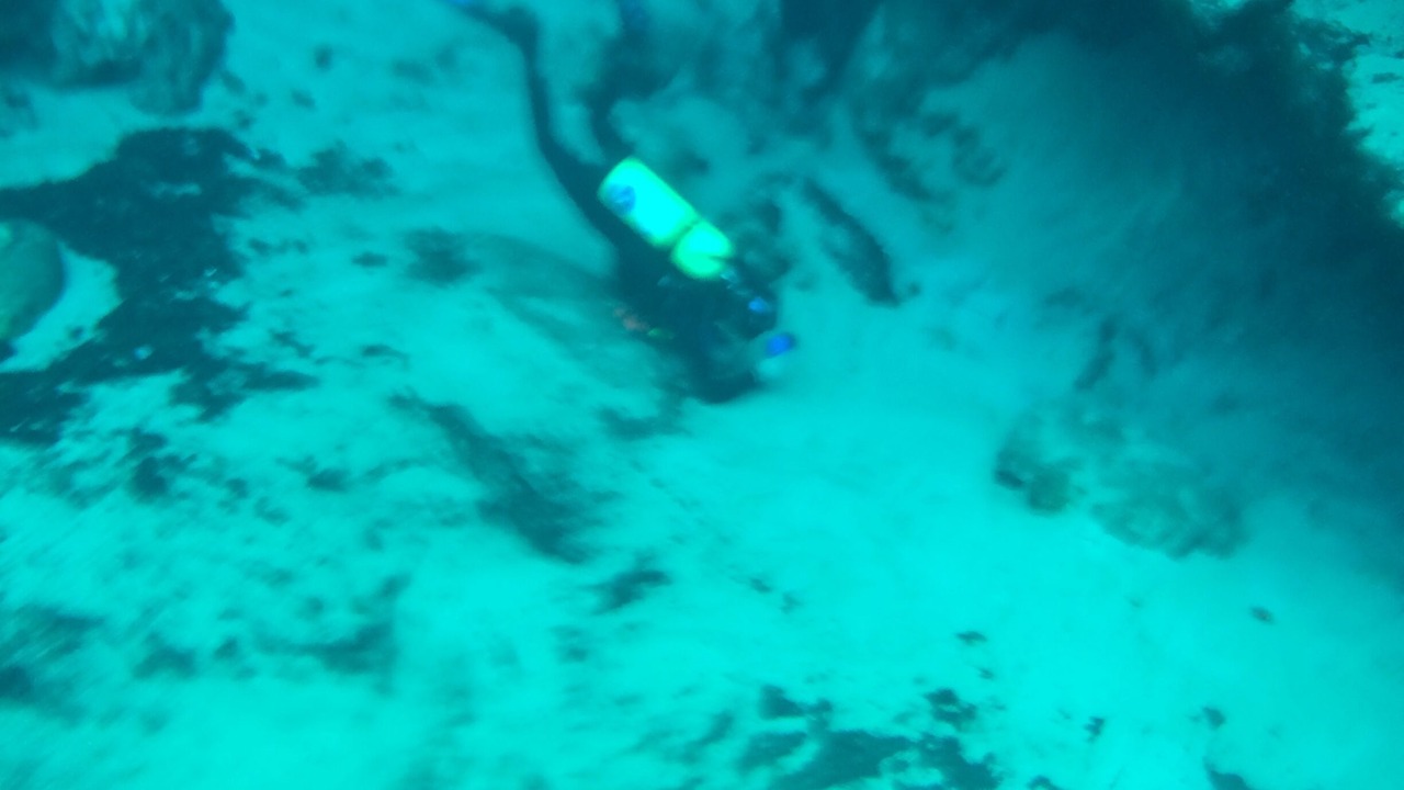 Photo of Others in Salt Springs