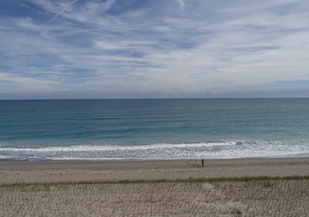 Photo of Others in Hutchinson Island South