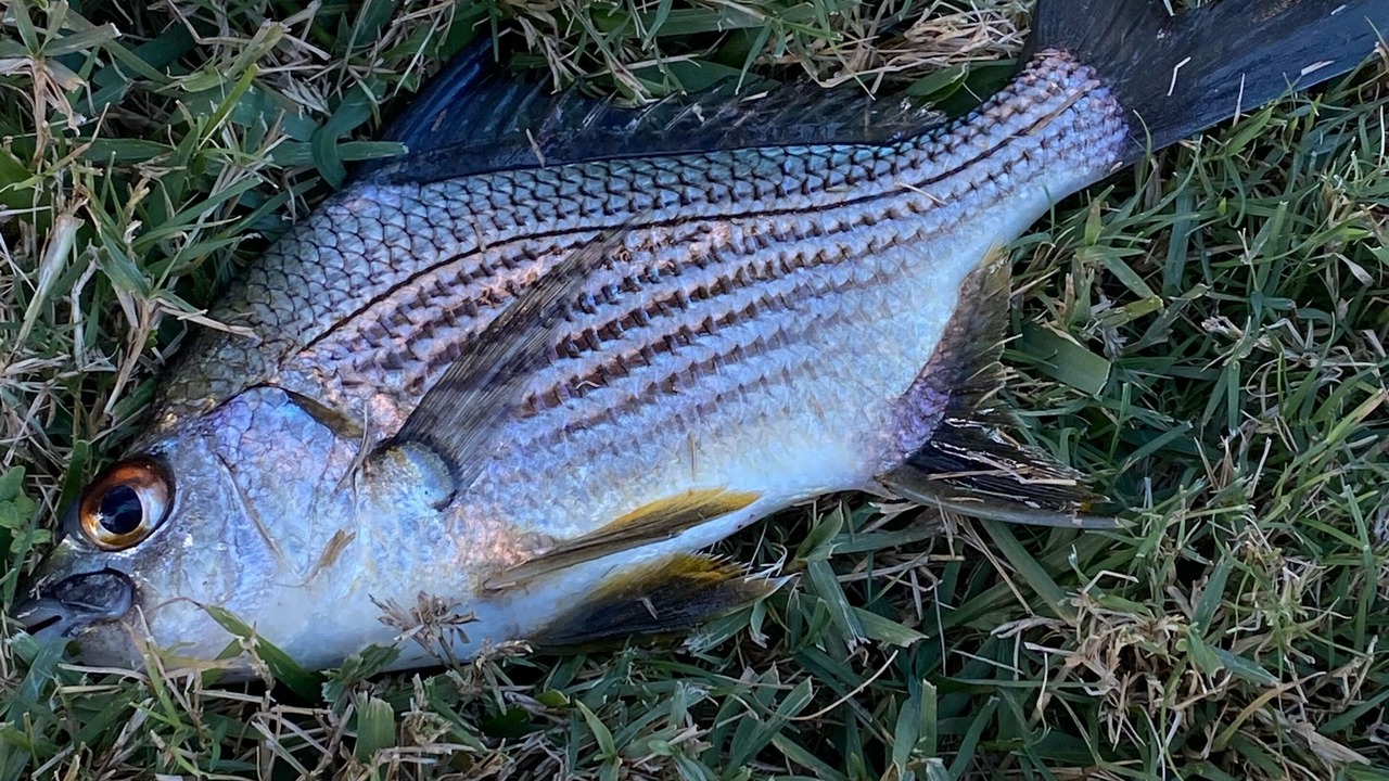 Photo of Outdoor in Cape Cay