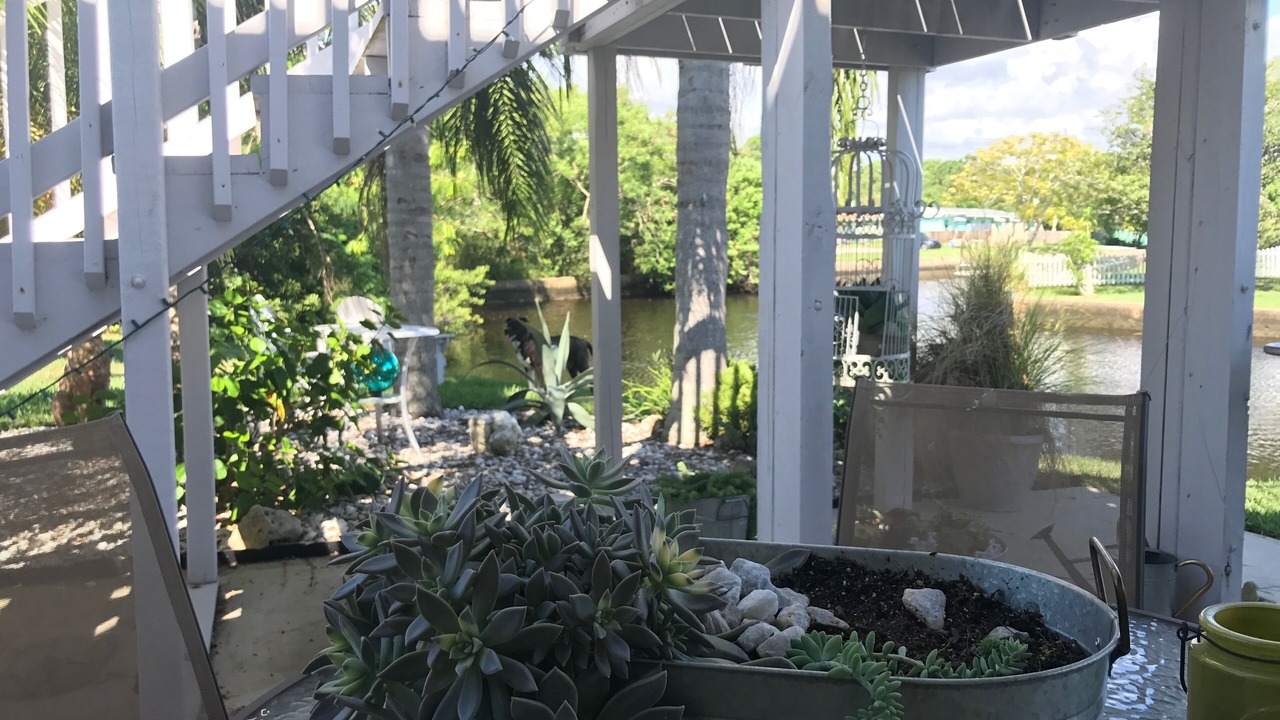Photo of Outdoor in Cape Cay