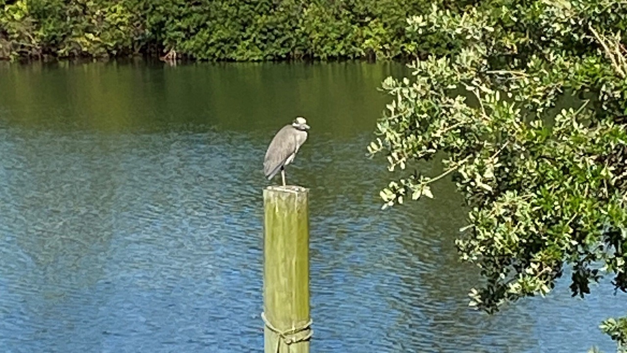 Photo of Others in Inlet District