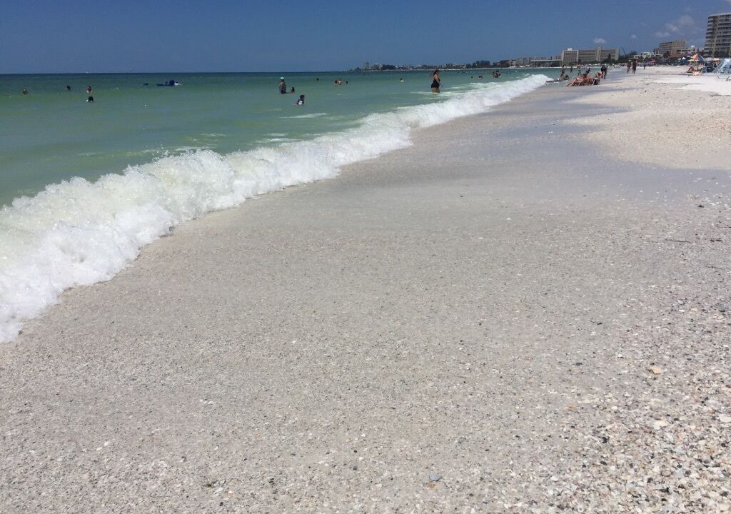 Photo of Others in Siesta Key