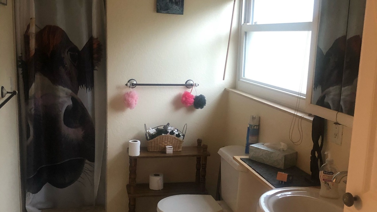 Photo of Bathroom in Safety Harbor