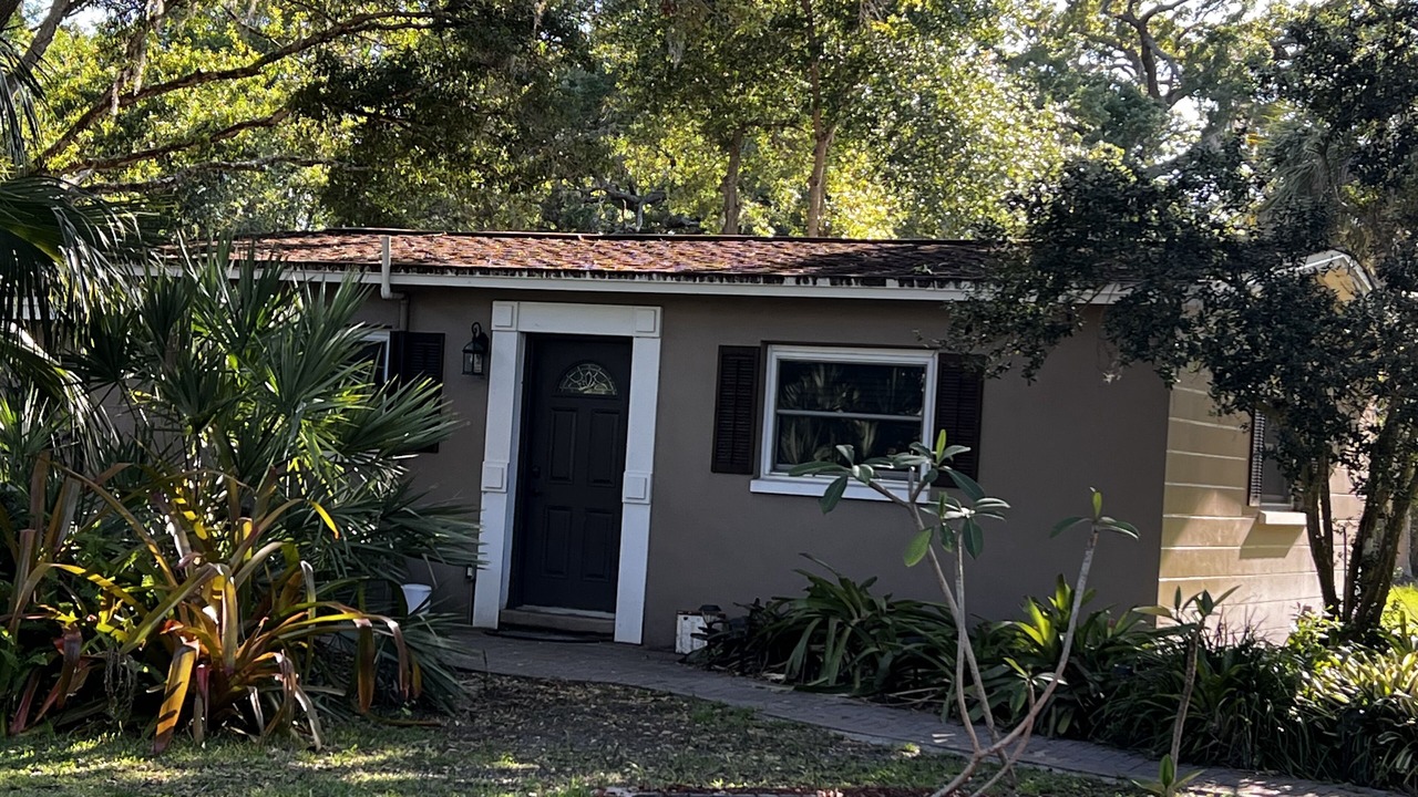 Photo of Outdoor in Safety Harbor