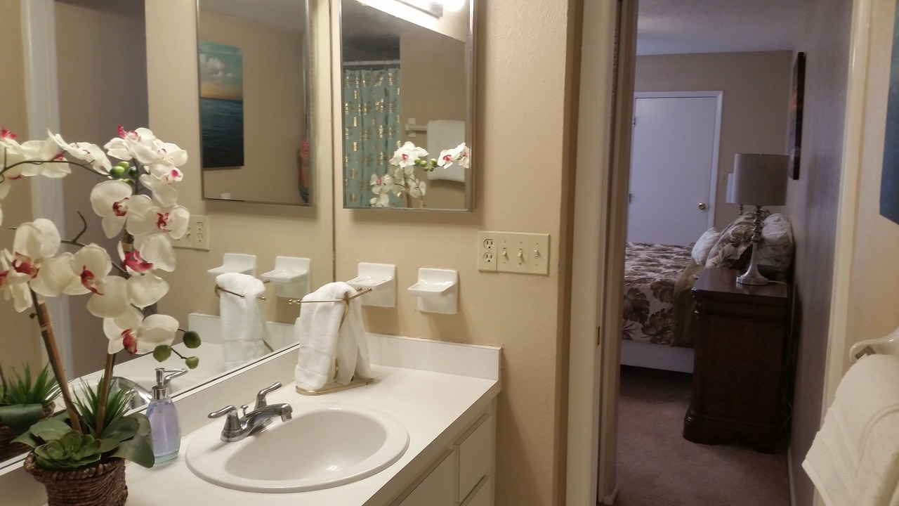 Photo of Bathroom in East Lake Woodlands