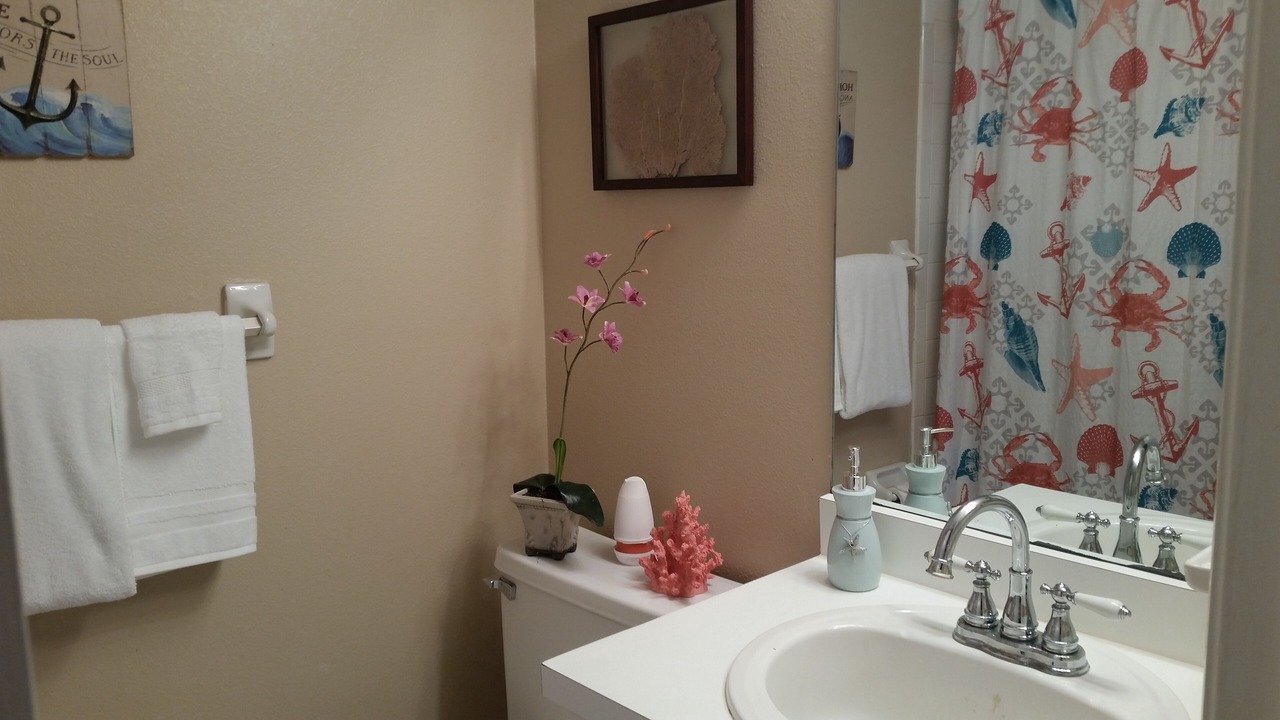 Photo of Bathroom in East Lake Woodlands