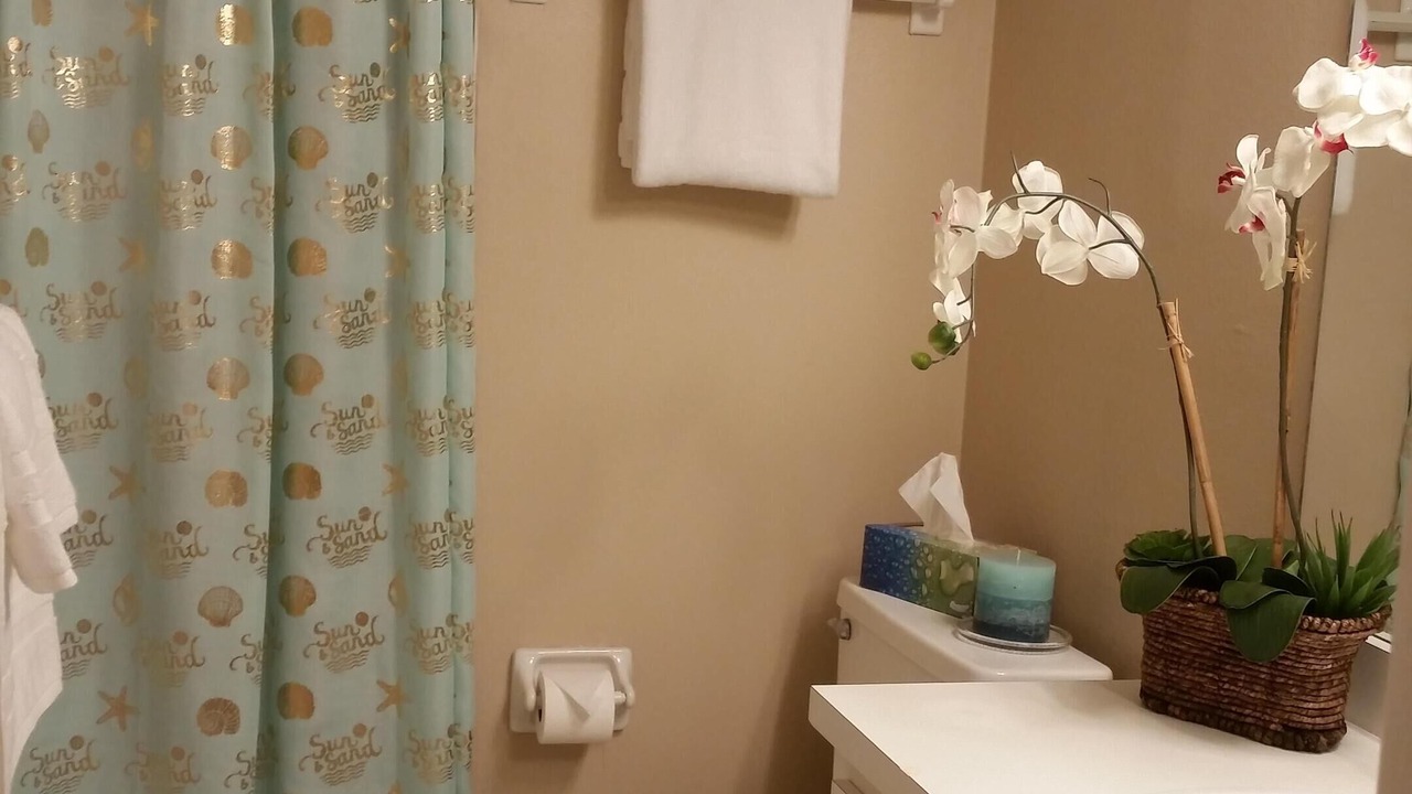 Photo of Bathroom in East Lake Woodlands