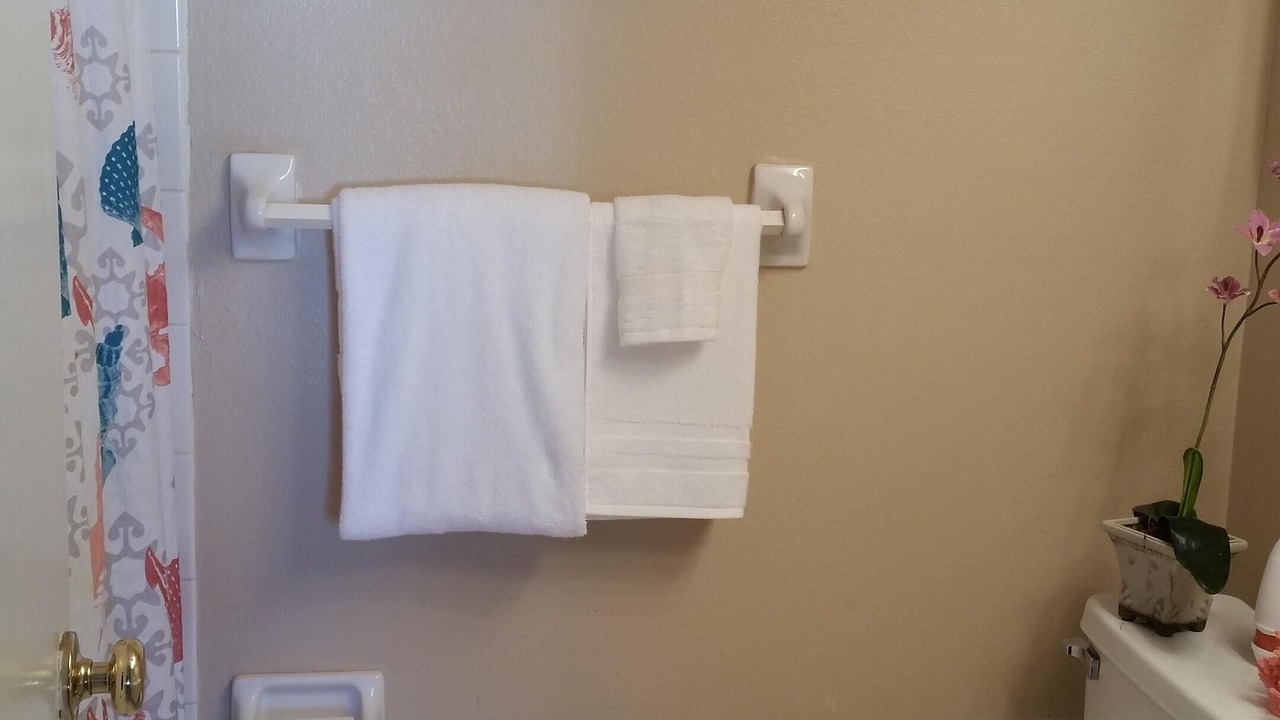 Photo of Bathroom in East Lake Woodlands
