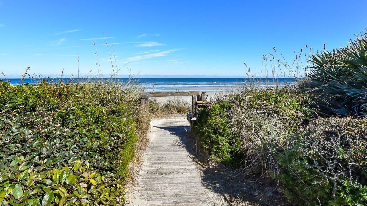 Photo of Others in Sea Dunes