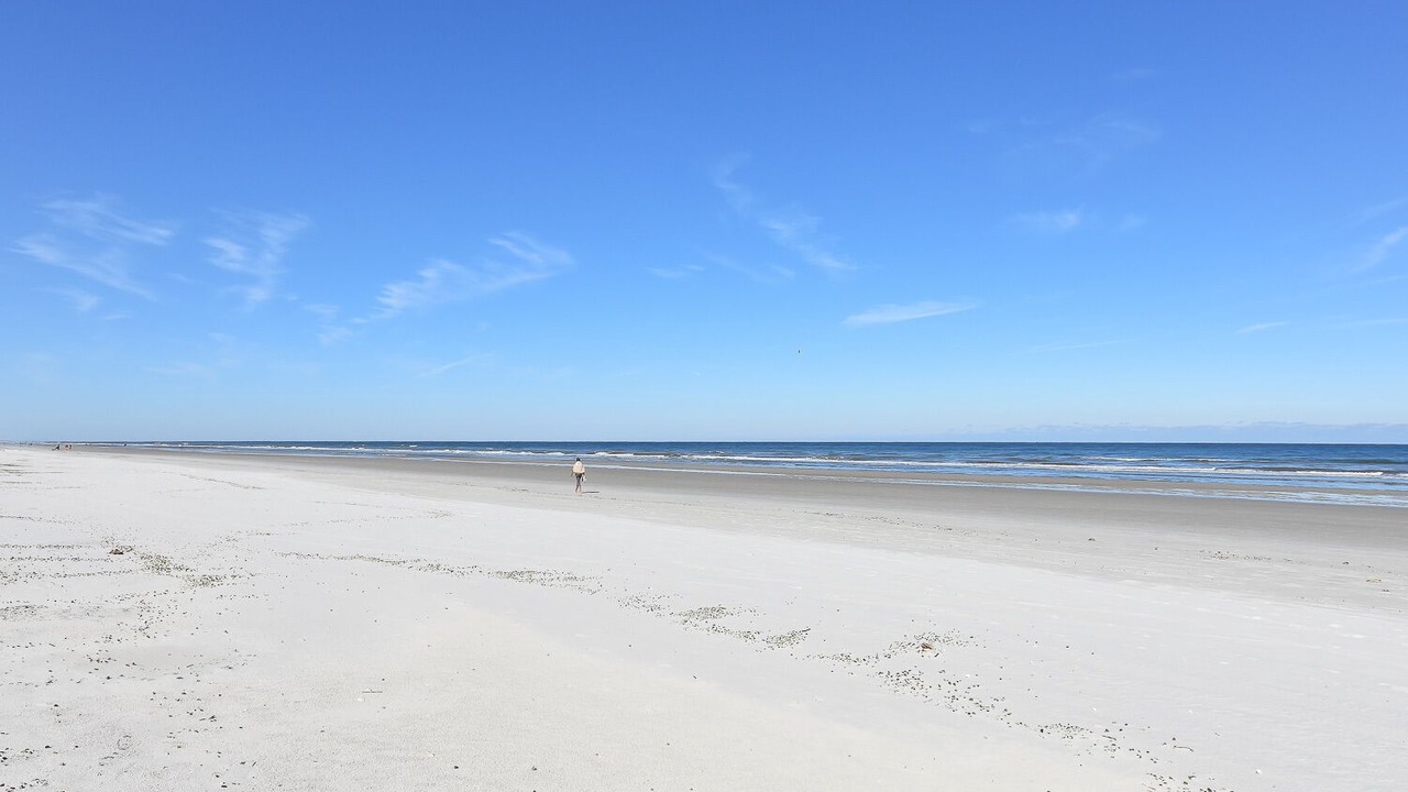 Photo of Others in Sea Dunes