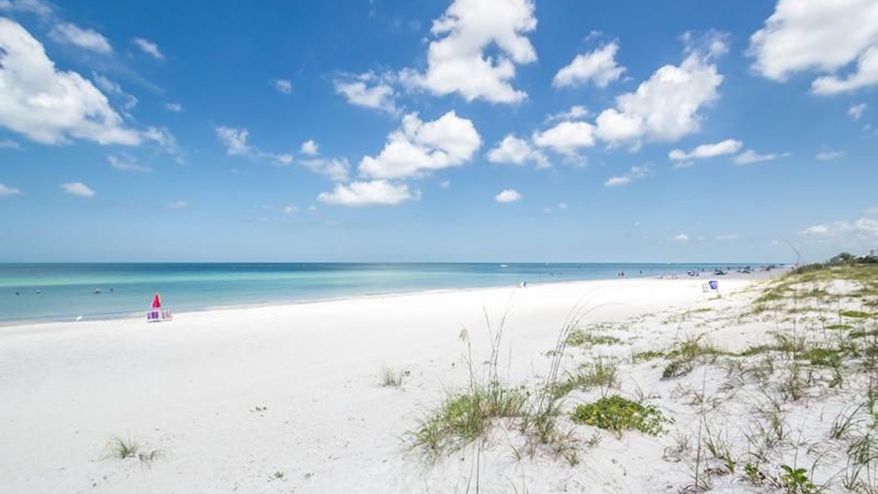 Photo of Others in Indian Rocks Beach